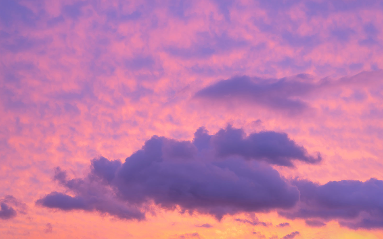 Pink Clouds are the feelings people experience during their first months of sobriety